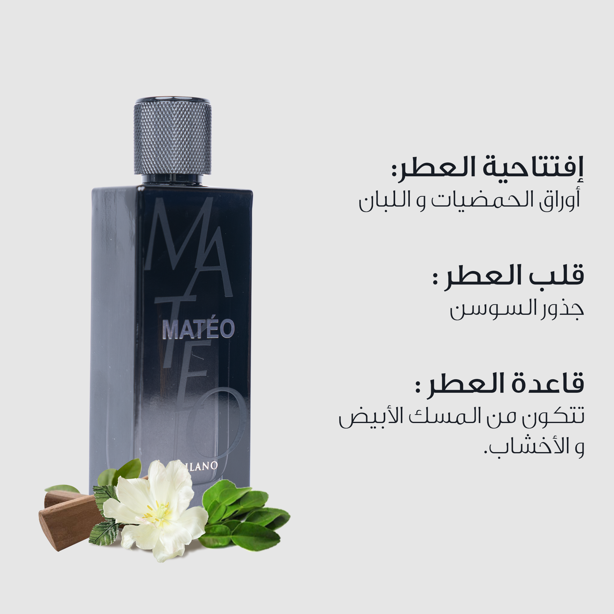 Milano Perfumes Matteo Eau de Parfum